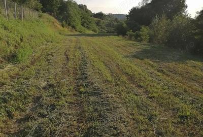 Casă cu 2 camere cu Teren 5400 Mp în Valea Lungă - 1