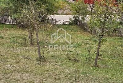 Teren de 5030 mp, în Meteș - 3