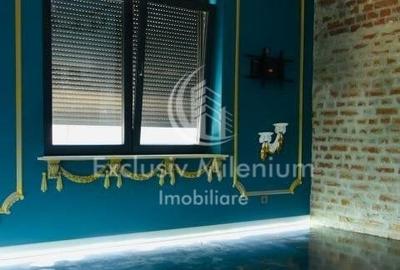 Cismigiu  - Brezoianu Birouri la Vila - 3