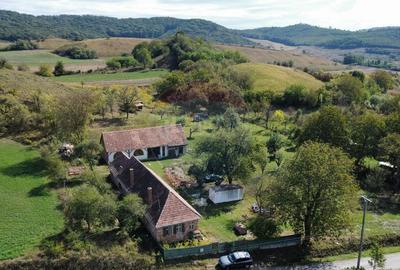 Proprietate in mijlocul naturii 8514 mp teren ?i ?... - 6