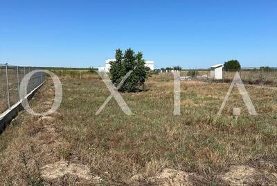 OX662 Casa pe un singur nivel, in Pischia OX662 Casa pe un singur nivel, in Pischia - 8