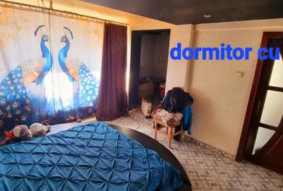 Casa parter cu mansarda Casa parter cu mansarda - 6