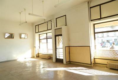 Spațiu comercial, de 100 mp, în Iosefin - 3