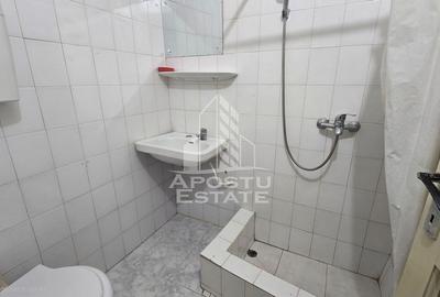 Garsonieră în Badea Cârțan - 5