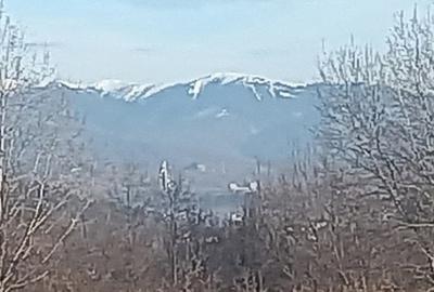Teren în Albești - 6