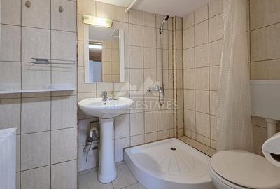 Inchiriere imobil 7 camere curte proprie Stefan Cel Mare Eminescu - 5