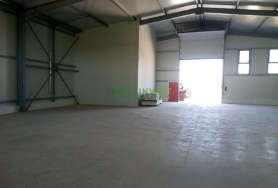 Hala Industriala de Vanzare  Locatie Ideala pentru Afacerea Ta! - 10