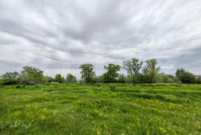 Teren intravilan 6010 mp, zona Sebes - 3