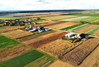 Teren intravilan de vanzare 3000 mp, Botiz, str. Sirul Mare, la doar 7 km de centrul Satu Mare - 3