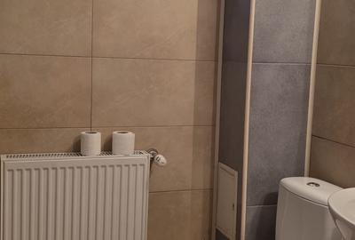 Vila de vanzare cu teren generos zona Ciolpani - 32