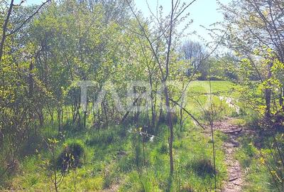 Teren intravilan 4280 mp acces la drum si utilitati zona deosebita Teren intravilan 4280 mp acces la drum si utilitati zona deosebita - 4