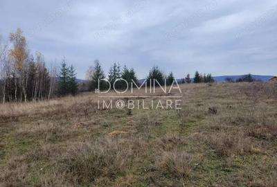 Vanzare teren 5000 mp, intravilan+extravilan, in comuna Crasna - 3