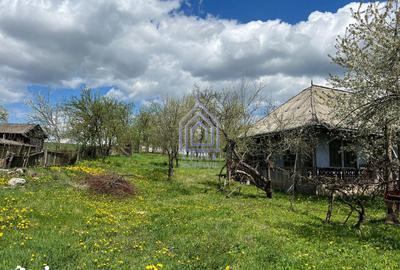 Teren de 4872 mp, în Forăști - 3