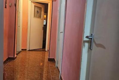 Apartament cu 3 camere decomandat în Valea Rosie - 4