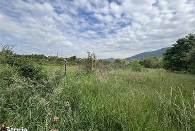 Teren de 3700 mp, în Valea Borcutului - 4