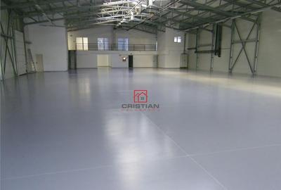 Depozit/hala/spatiu industrial Theodor Pallady - Drumul Int - 4