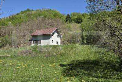 Casă cu 6 camere cu Teren 4159 Mp în Telciu - 5