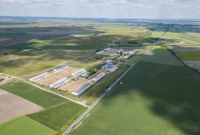 Teren Intravilan Investi?ii 11.600 mp Salonta - 12