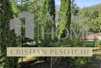 Vila  Provita de  Jos 380mp - 12