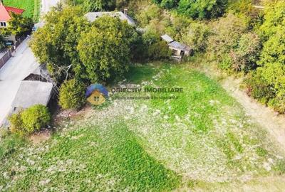 CASA + teren intravilan,  comuna BODESTI - 10