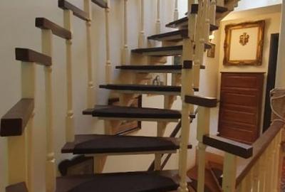 Vila spatioasa Sisesti, Vatra Noua - Padurea Baneasa - 22