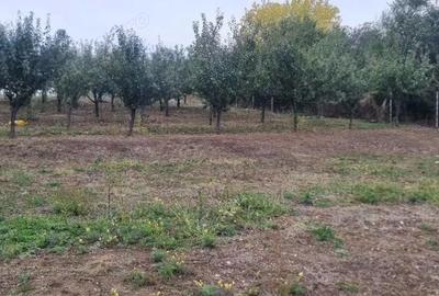 Vand teren Platou Targ- Valea Geamana, intravilan cu utilitati - 2