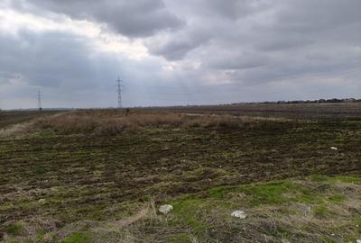 Teren intravilan | 521 mp | Utilitati | Rate la dezvoltator - 4