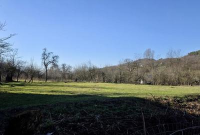 Teren 4.549 mp intravilan, la doar 8 minute de Valenii de M - 1