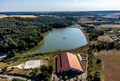 Teren agricol extravilan de 125077 mp, în Herneacova - 4