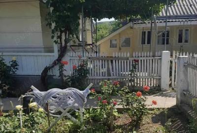 Casa de vanzare 5200mp la 25 minute de Bacau Sat Dragesti ! - 3