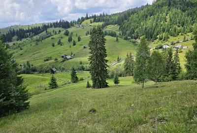 Teren de vanzare in Bucovina Comuna Breaza Zona Paraul Negrei - 1