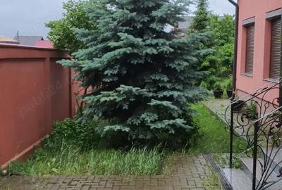 Casă cu 5 camere în Lunca Cetățuii - 1