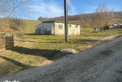 Teren de 2000 mp, în Mociu - 1