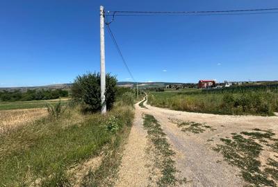 De vânzare teren extravilan – Calea Feldioarei, 10.000 mp - 4