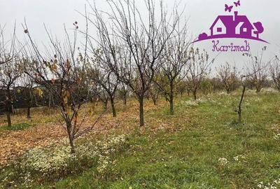 Teren de 2421 mp, în Nojorid - 4