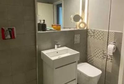 Piata Victoriei,METROU  Banu Manta,bl,1983,Amenajat,boiler,moblat,Liber - 7