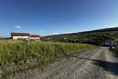 Teren in Chinteni, Muntii Oasului, 1000 mp, front de 36 ml - 2