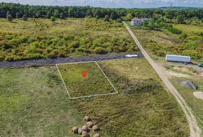 Teren intravilan de vanzare 902 mp, Paleu, Bihor | PUZ aprobat - 3