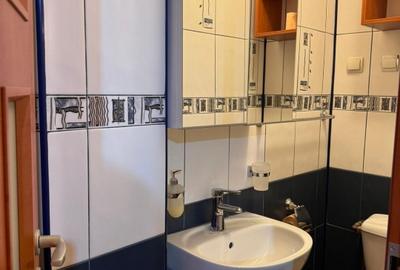 Apartament cu 3 camere decomandat, mobilat în Teiul Doamnei - 8