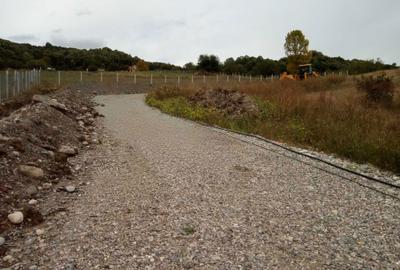 Spațiu comercial, în Troian - 6