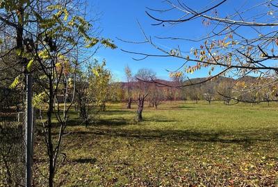 Teren intravilan de vanzare in Brebu (zona foarte linistita) Teren intravilan de vanzare in Brebu (zona foarte linistita) - 6