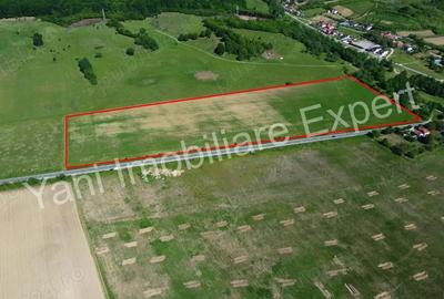 Teren de 69700 mp, în Tigveni - 8