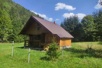 Teren de 9172 mp, în Pintic - 6