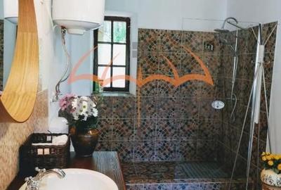 Casă cu 7 camere cu Teren 9948 Mp în Arefu - 13