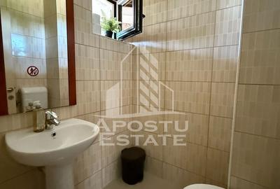 Casă individuală cu 6 camere cu Canalizare în Crișan - 29