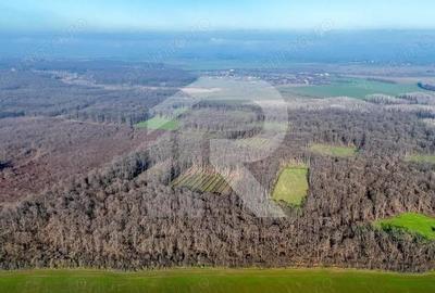 Teren langa Manastirea Sfantul Nicolae Sitaru - 2