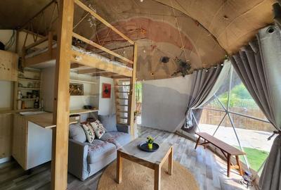 LOCATIE DEOSEBITA - Miron Costin - 4