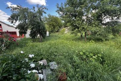 Casă cu 3 camere cu Teren 688 Mp în Bogdăneștilor - 2
