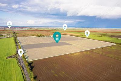 Vindem Teren intravilan ?oseaua Arad-Timi?oara | Destina?ie industriala 700 metri liniari - 2