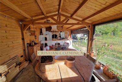 Teren cu constructii Cosmina de Sus - Foisor, baie, cabanuta - 10